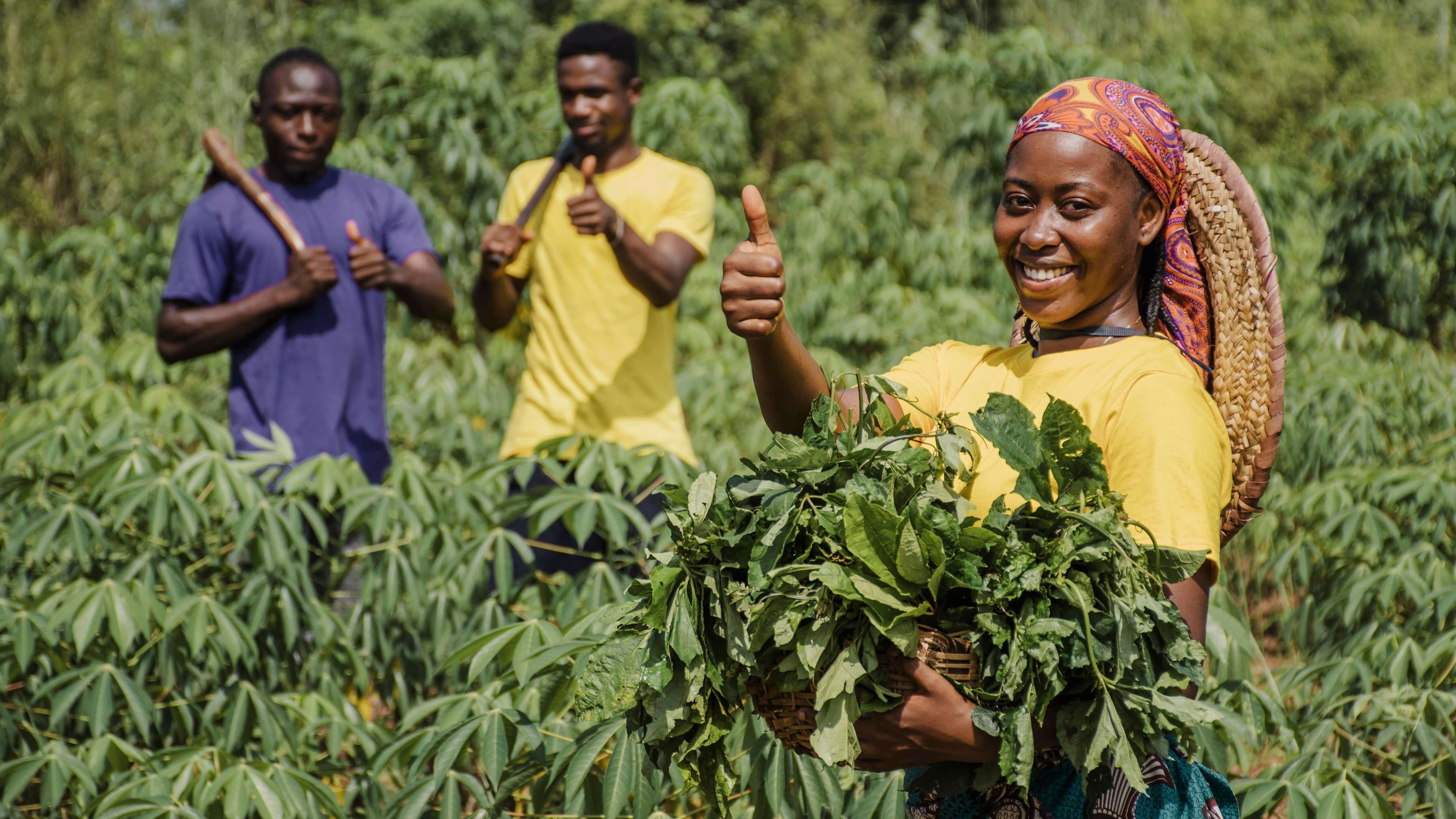 Ghanaian farmers preparing fresh produce